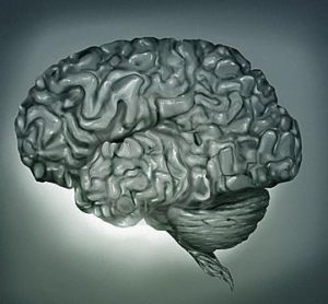 human-brain-digital-painting-23874260